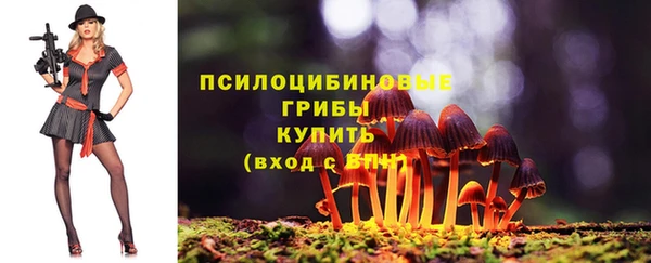 прущие крисы Бородино