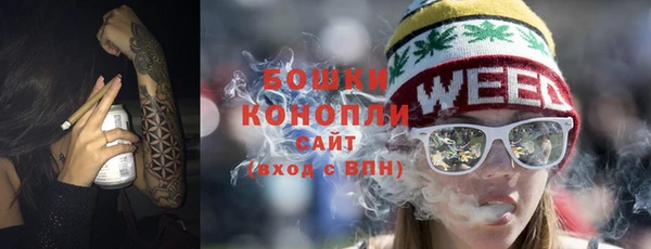 прущие крисы Бородино