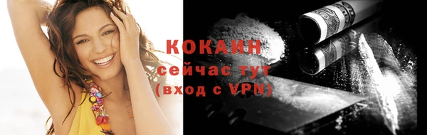 прущие крисы Бородино