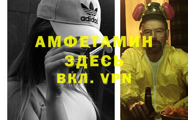 прущие крисы Бородино