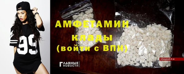 прущие крисы Бородино